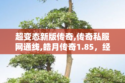 超变态新版传奇,传奇私服网通线,皓月传奇1.85，经典重现，热血征战之旅