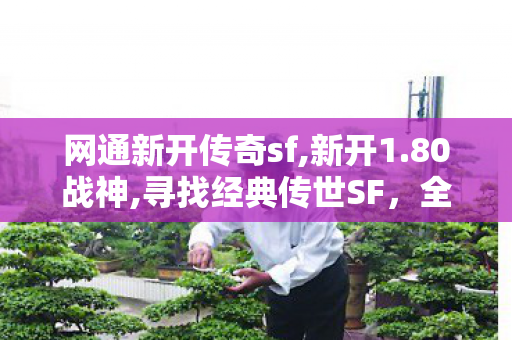 网通新开传奇sf,新开1.80战神,寻找经典传世SF，全面解析与攻略指南