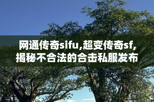 网通传奇sifu,超变传奇sf,揭秘不合法的合击私服发布网