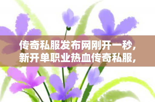 传奇私服发布网刚开一秒,新开单职业热血传奇私服,揭秘1.76sf发布网，经典传奇游戏资源分享与攻略指南
