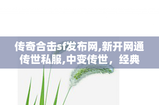 传奇合击sf发布网,新开网通传世私服,中变传世，经典游戏背后的传奇故事与深度解析