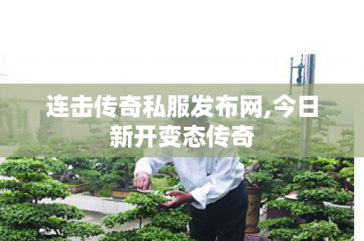 连击传奇私服发布网,今日新开变态传奇