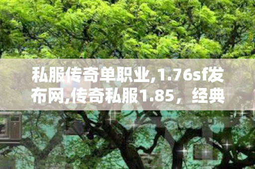 私服传奇单职业,1.76sf发布网,传奇私服1.85，经典再现，重温热血征途