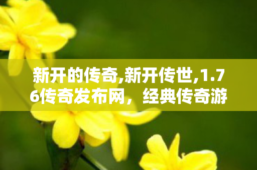 新开的传奇,新开传世,1.76传奇发布网，经典传奇游戏，重温热血岁月