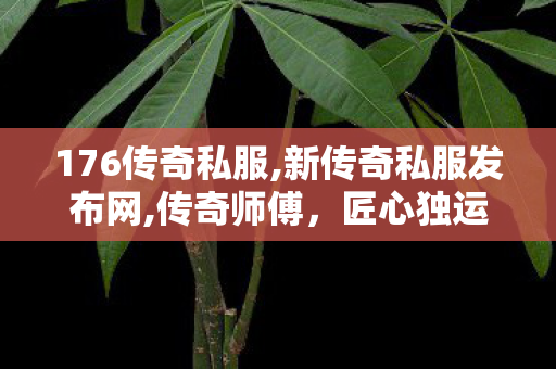 176传奇私服,新传奇私服发布网,传奇师傅，匠心独运，技艺传承的楷模