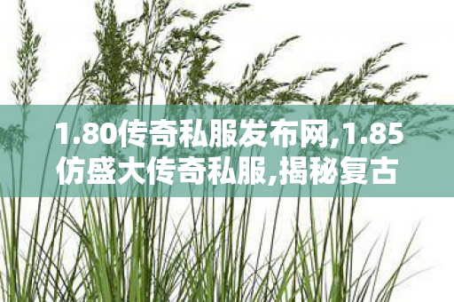 1.80传奇私服发布网,1.85仿盛大传奇私服,揭秘复古传奇私服发布网，1与1红线
