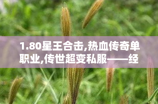 1.80星王合击,热血传奇单职业,传世超变私服——经典游戏体验的独特选择