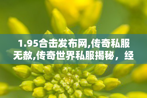 1.95合击发布网,传奇私服无赦,传奇世界私服揭秘，经典游戏体验的全新篇章