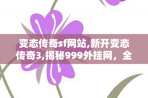 变态传奇sf网站,新开变态传奇3,揭秘999外挂网，全面解析其危害与防范措施