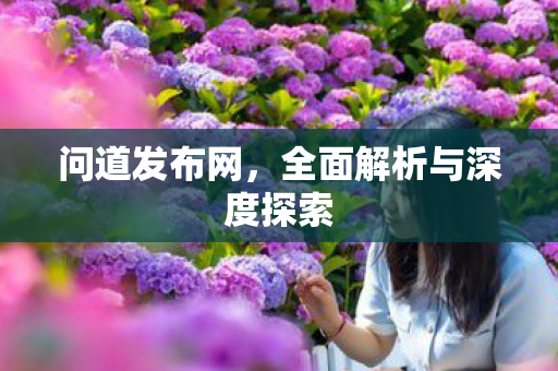 问道发布网，全面解析与深度探索