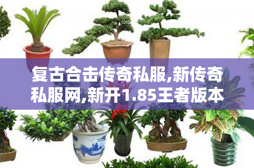 复古合击传奇私服,新传奇私服网,新开1.85王者版本，经典重现，热血传奇再启