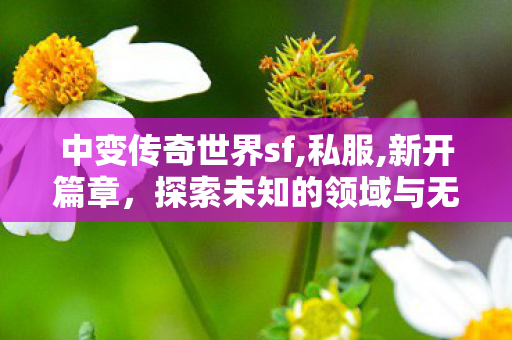 中变传奇世界sf,私服,新开篇章，探索未知的领域与无限可能