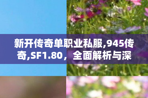新开传奇单职业私服,945传奇,SF1.80，全面解析与深度探索