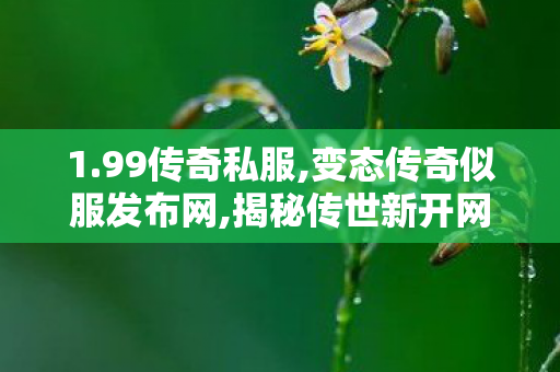 1.99传奇私服,变态传奇似服发布网,揭秘传世新开网站，探索传奇游戏新篇章