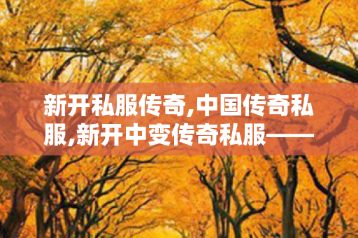 新开私服传奇,中国传奇私服,新开中变传奇私服——全面解析与详细介绍