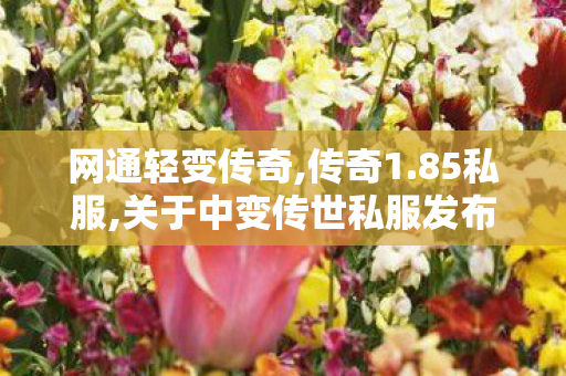 网通轻变传奇,传奇1.85私服,关于中变传世私服发布网的全面解析