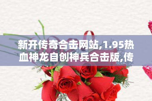 新开传奇合击网站,1.95热血神龙自创神兵合击版,传奇中变，经典游戏变革的深度解析