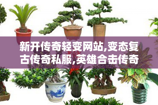 新开传奇轻变网站,变态复古传奇私服,英雄合击传奇私服，经典重现，热血激战无止境
