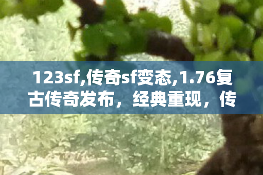 123sf,传奇sf变态,1.76复古传奇发布，经典重现，传奇再续
