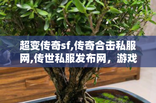 超变传奇sf,传奇合击私服网,传世私服发布网，游戏私服的1与1责任