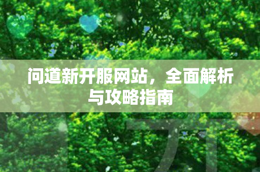问道新开服网站，全面解析与攻略指南