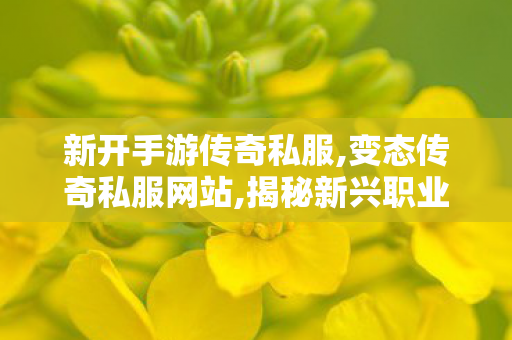 新开手游传奇私服,变态传奇私服网站,揭秘新兴职业，数字营销专员的职责与前景