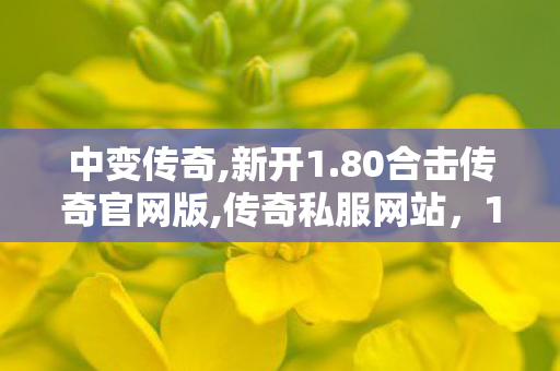 中变传奇,新开1.80合击传奇官网版,传奇私服网站，1运营与1并存的网络空间