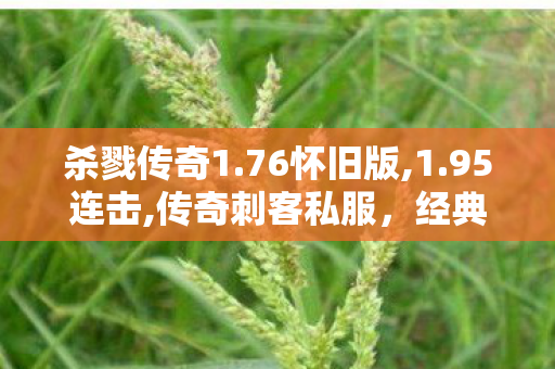 杀戮传奇1.76怀旧版,1.95连击,传奇刺客私服，经典游戏体验的深度解析