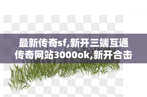 最新传奇sf,新开三端互通传奇网站3000ok,新开合击私服介绍及11