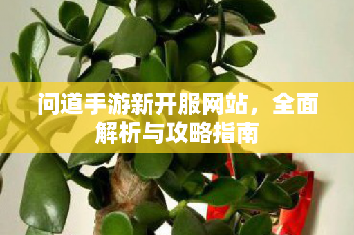 问道手游新开服网站，全面解析与攻略指南