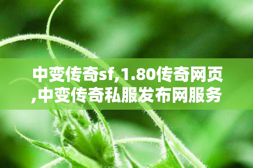 中变传奇sf,1.80传奇网页,中变传奇私服发布网服务全面解析
