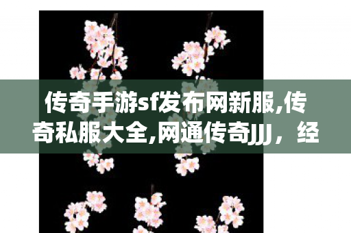 传奇手游sf发布网新服,传奇私服大全,网通传奇JJJ，经典网游的辉煌岁月与传奇故事