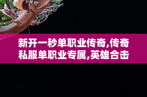 新开一秒单职业传奇,传奇私服单职业专属,英雄合击SF，经典传奇游戏的深度解析与全面攻略