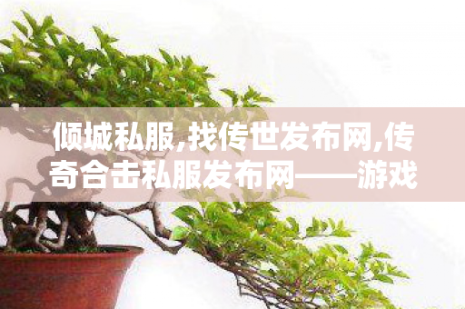倾城私服,找传世发布网,传奇合击私服发布网——游戏私服安全合规指南