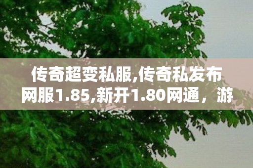 传奇超变私服,传奇私发布网服1.85,新开1.80网通，游戏新纪元，畅享无限乐趣