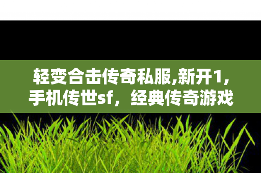 轻变合击传奇私服,新开1,手机传世sf，经典传奇游戏，重温移动时代的游戏巅峰