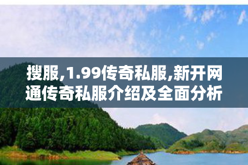 搜服,1.99传奇私服,新开网通传奇私服介绍及全面分析