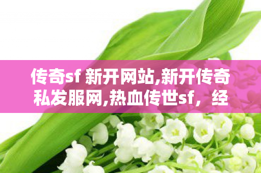 传奇sf 新开网站,新开传奇私发服网,热血传世sf，经典传奇游戏的不朽传奇