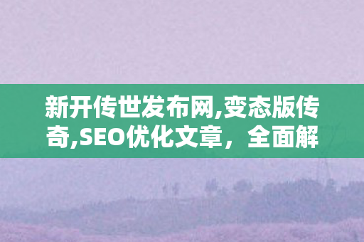 新开传世发布网,变态版传奇,SEO优化文章，全面解析互联网营销策略