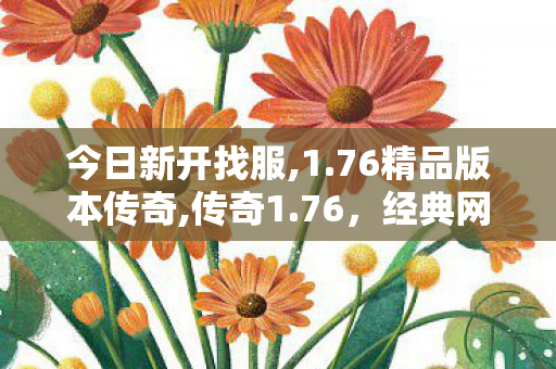 今日新开找服,1.76精品版本传奇,传奇1.76，经典网游的辉煌岁月