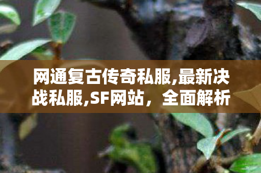 网通复古传奇私服,最新决战私服,SF网站，全面解析与深度探索