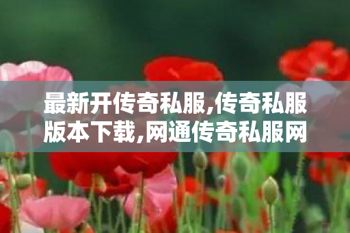 最新开传奇私服,传奇私服版本下载,网通传奇私服网，游戏体验的全新探索