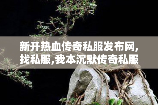 新开热血传奇私服发布网,找私服,我本沉默传奇私服，全面解析与注意事项