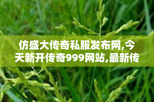仿盛大传奇私服发布网,今天新开传奇999网站,最新传世私服揭秘，经典重燃，热血传奇再续
