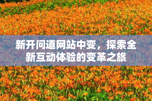 新开问道网站中变，探索全新互动体验的变革之旅