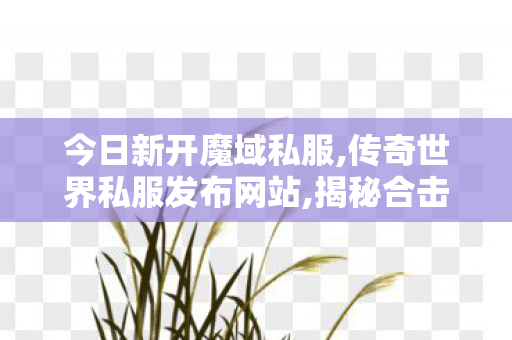 今日新开魔域私服,传奇世界私服发布网站,揭秘合击私服，网络游戏私服现象的深度解析
