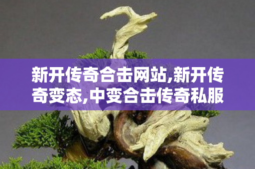 新开传奇合击网站,新开传奇变态,中变合击传奇私服，全面解析与深度探讨