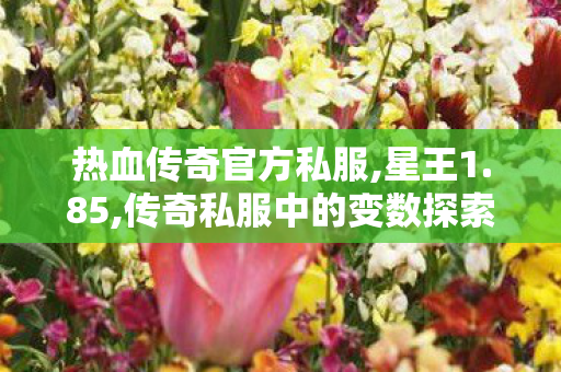 热血传奇官方私服,星王1.85,传奇私服中的变数探索，深度解析游戏魅力与玩家体验