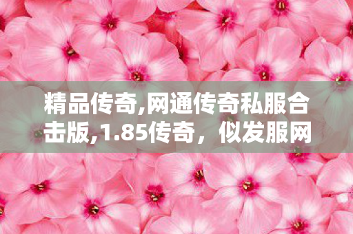 精品传奇,网通传奇私服合击版,1.85传奇，似发服网——经典传奇游戏体验的全新篇章