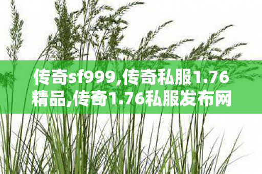 传奇sf999,传奇私服1.76精品,传奇1.76私服发布网，游戏私服的1与1责任